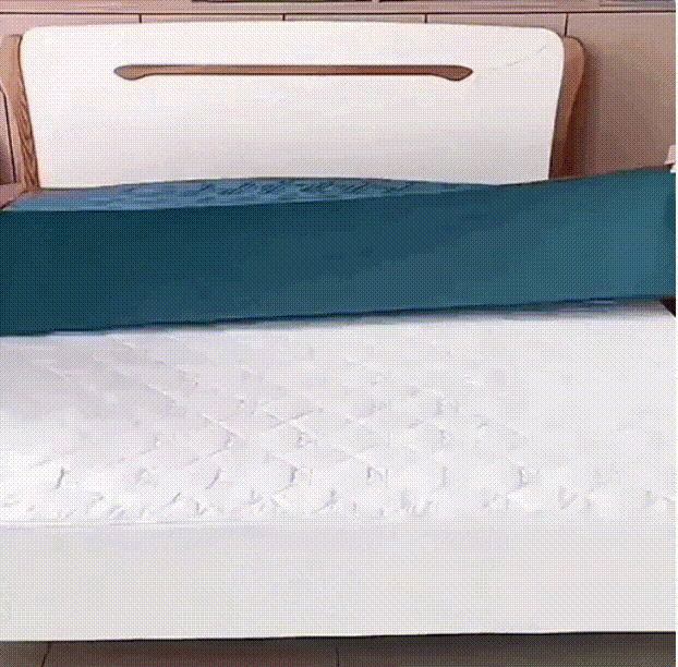 Encabezado