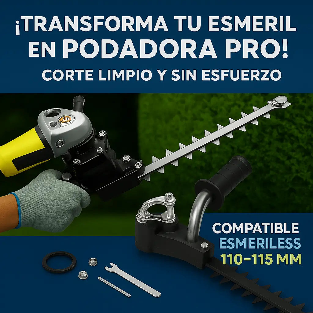 Encabezado