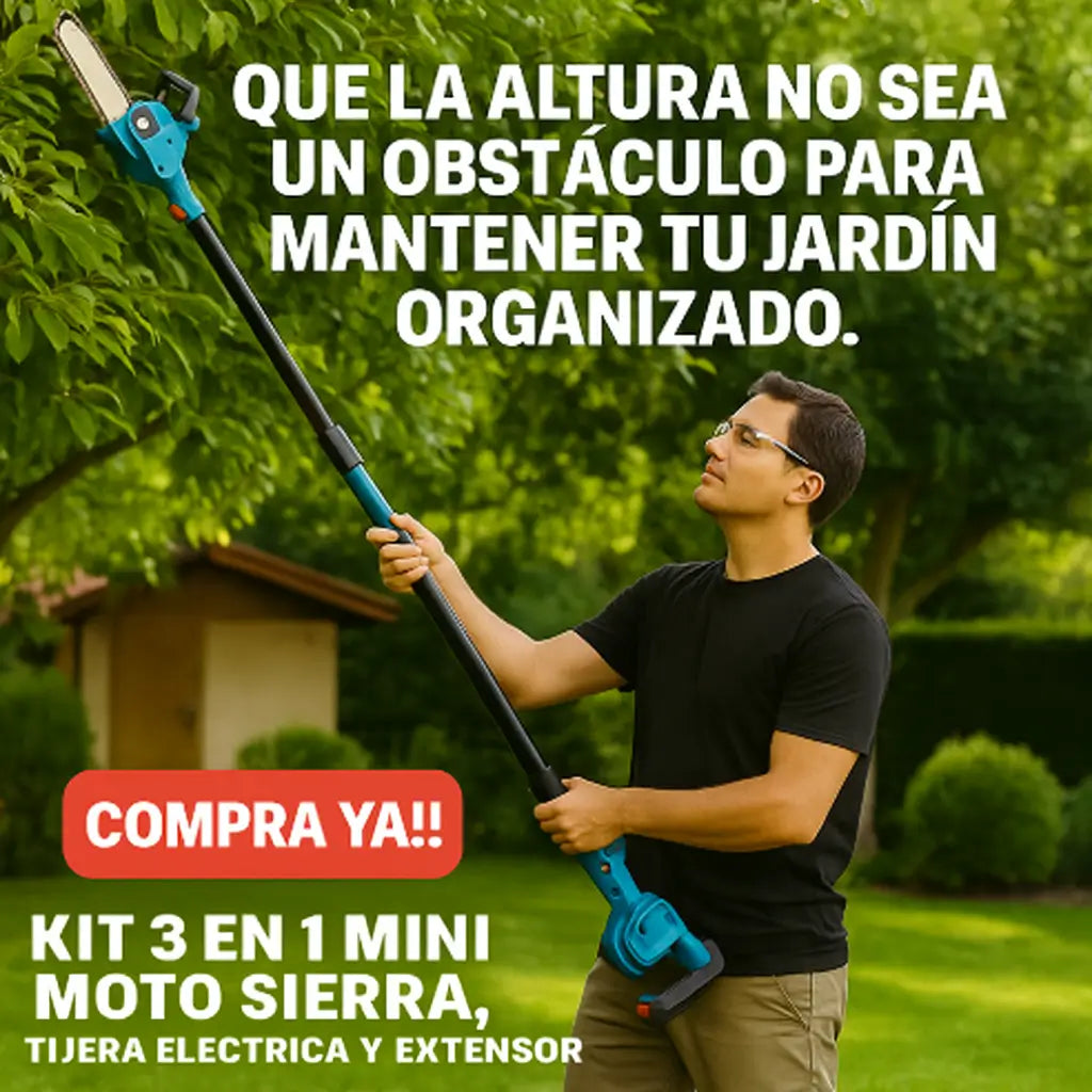 Encabezado